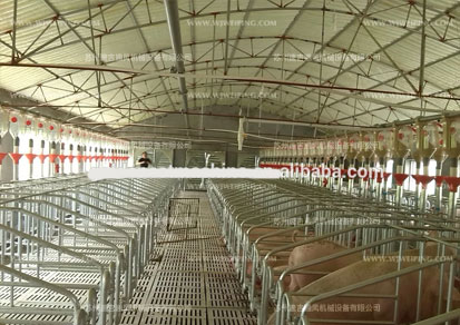 畜牧養(yǎng)殖負壓排風機