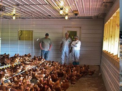 蛋雞舍怎樣安裝水冷風機？蛋雞舍水冷風機安裝步驟