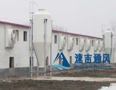 400平方豬舍配水簾風機怎么計算？速吉通風案例詳解