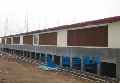 400平方豬舍配水簾風機怎么計算？速吉通風案例詳解