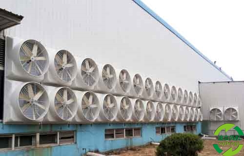 冷風(fēng)機,降溫設(shè)備,換氣通風(fēng)機