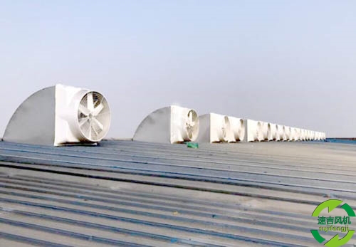 DWT屋頂風(fēng)機(jī) DWT屋頂風(fēng)機(jī)
